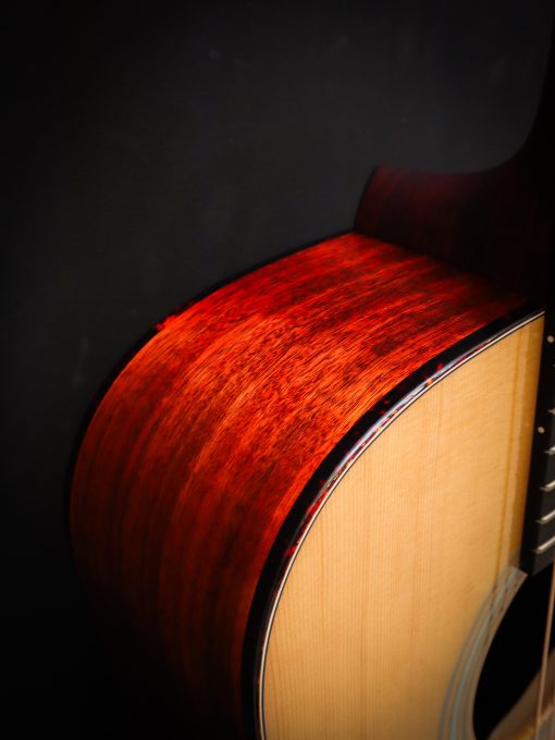 Eastman E6D-TC – Bild 7