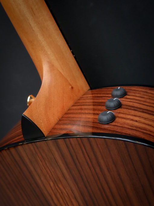Taylor 217e-SB Plus LTD – Bild 15