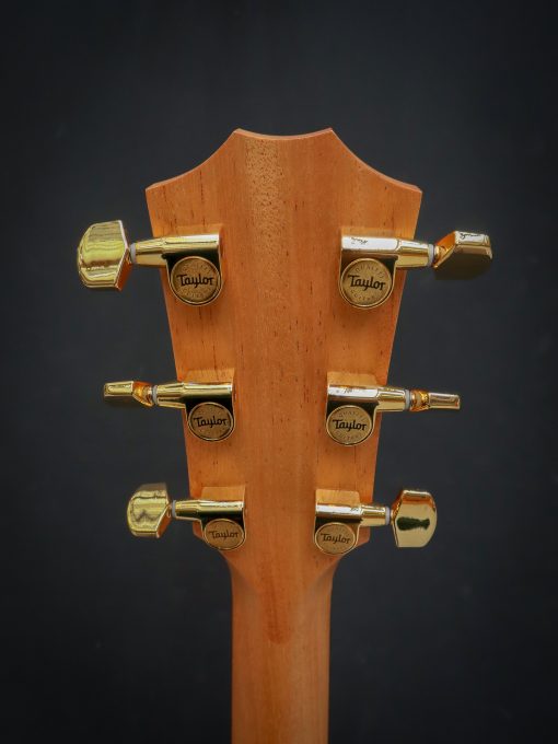 Taylor 217e-SB Plus LTD – Bild 11
