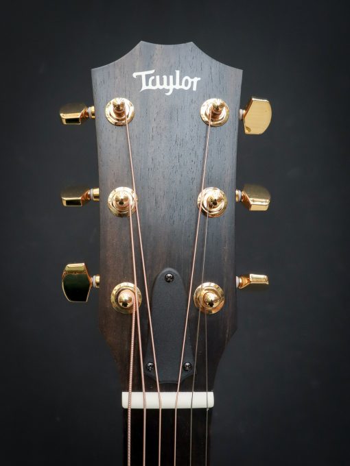 Taylor 217e-SB Plus LTD – Bild 10