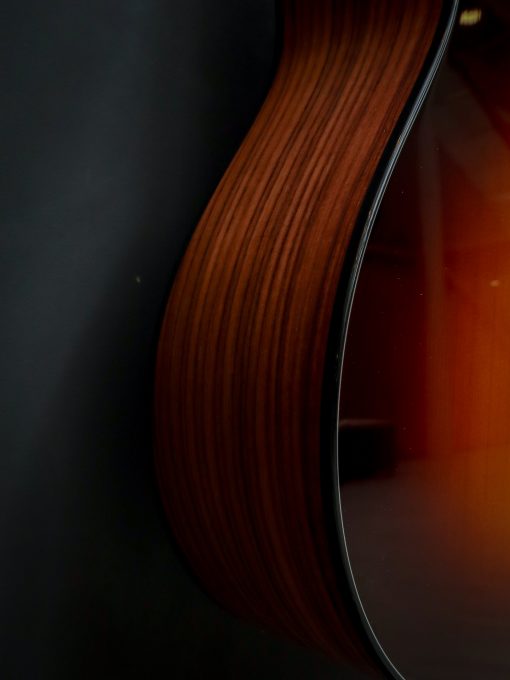 Taylor 217e-SB Plus LTD – Bild 7