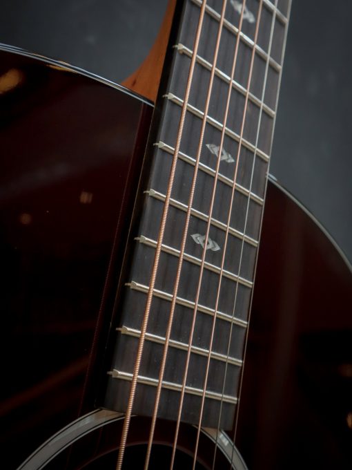 Taylor 217e-SB Plus LTD – Bild 6