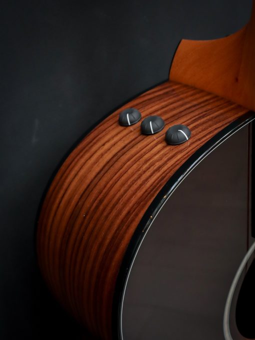 Taylor 217e-SB Plus LTD – Bild 5