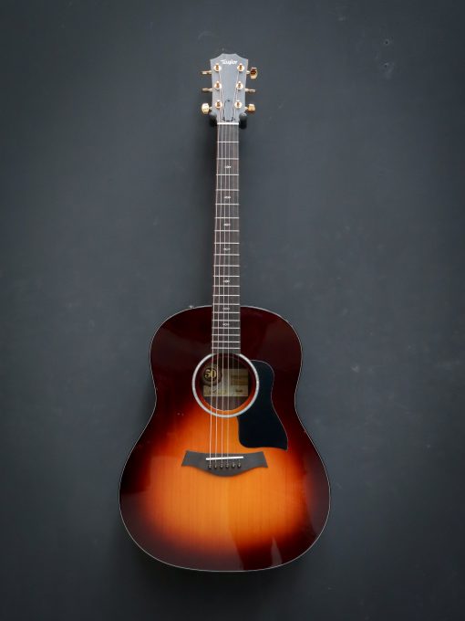 Taylor 217e-SB Plus LTD – Bild 2
