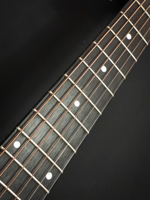 Eastman E10-OM TC – Bild 12