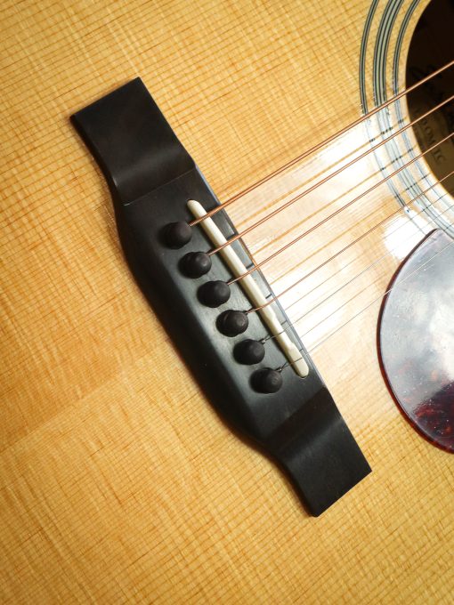 Eastman E10-OM TC – Bild 8
