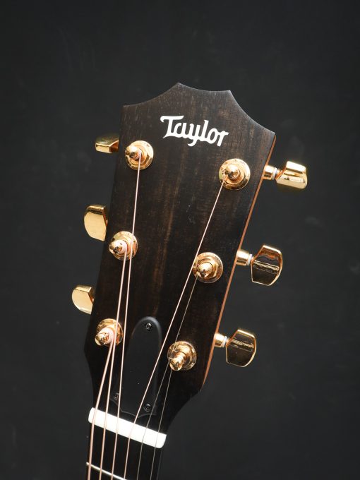 Taylor 224ce-K DLX – Bild 14