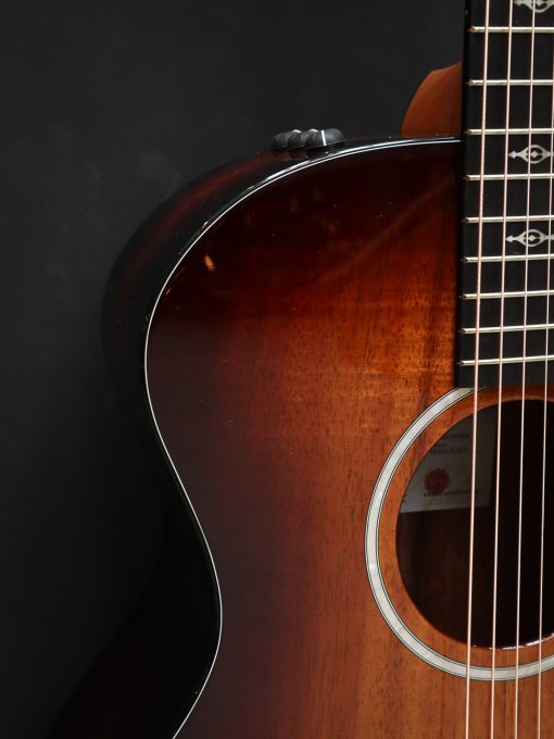 Taylor 224ce-K DLX – Bild 5