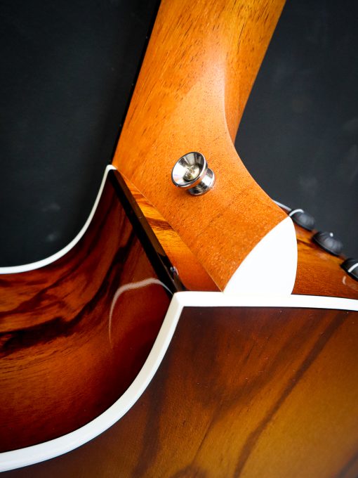 Taylor 214ce Plus Special Edition – Bild 16