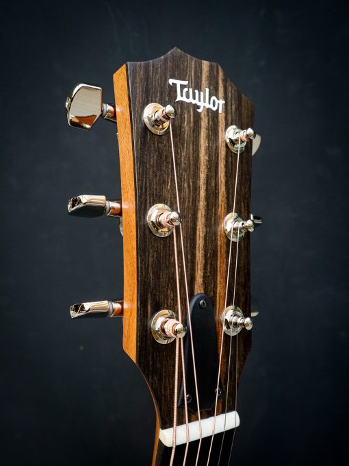 Taylor 214ce Plus Special Edition – Bild 11