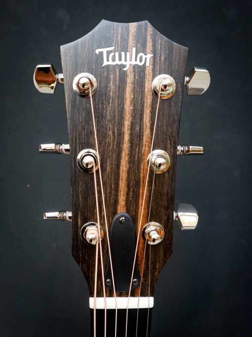 Taylor 214ce Plus Special Edition – Bild 10