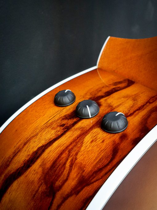 Taylor 214ce Plus Special Edition – Bild 9