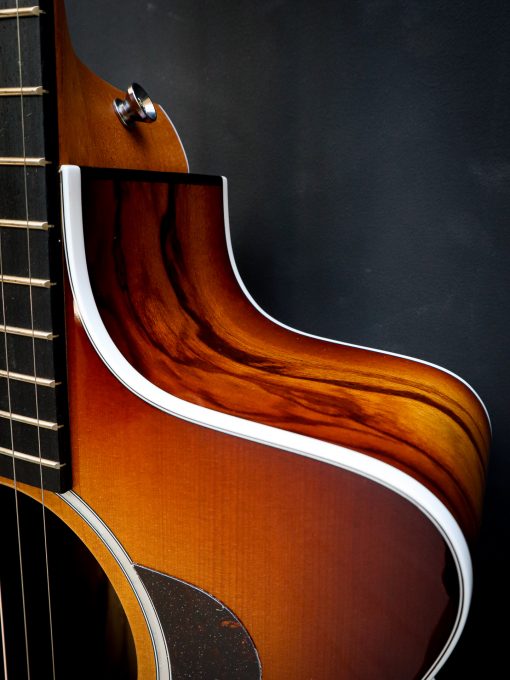 Taylor 214ce Plus Special Edition – Bild 7