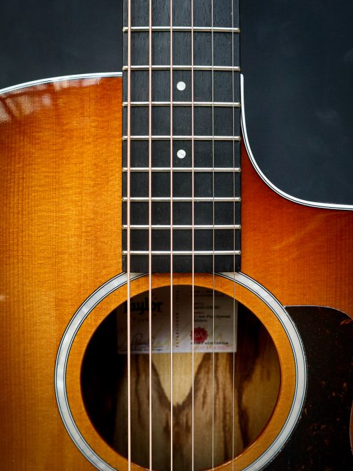 Taylor 214ce Plus Special Edition – Bild 5