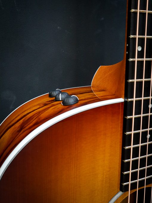 Taylor 214ce Plus Special Edition – Bild 6