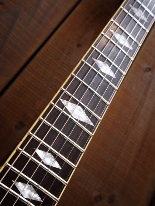 Duesenberg Paloma Sunset Rose – Bild 9