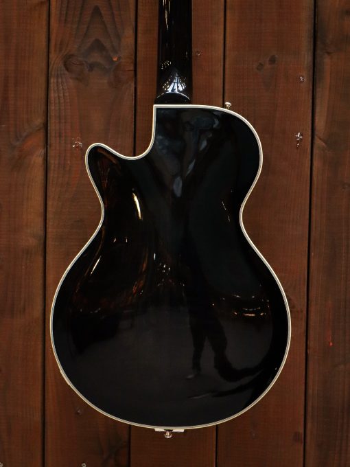Duesenberg Starplayer TV Catalina Harbor Green – Bild 14
