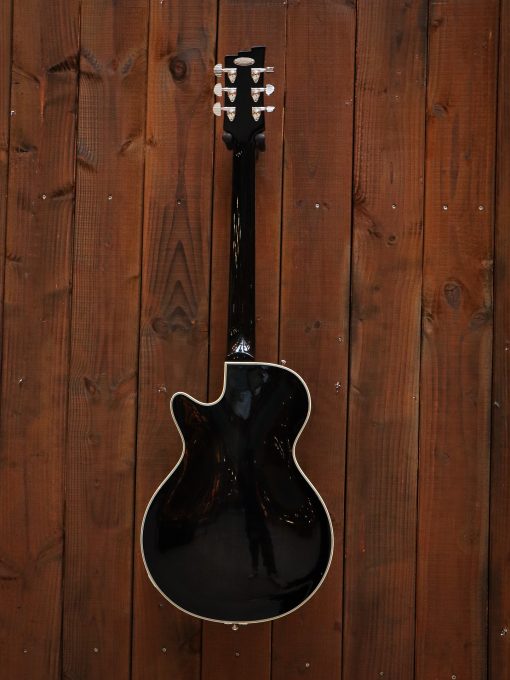 Duesenberg Starplayer TV Catalina Harbor Green – Bild 12