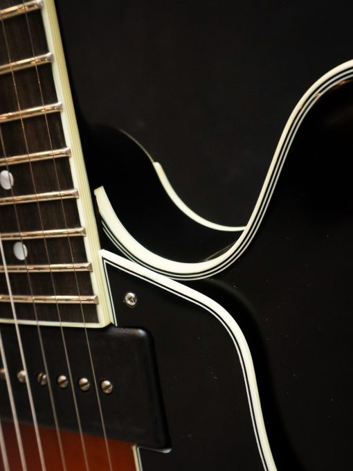 Eastman T60 TV/v SB – Bild 8
