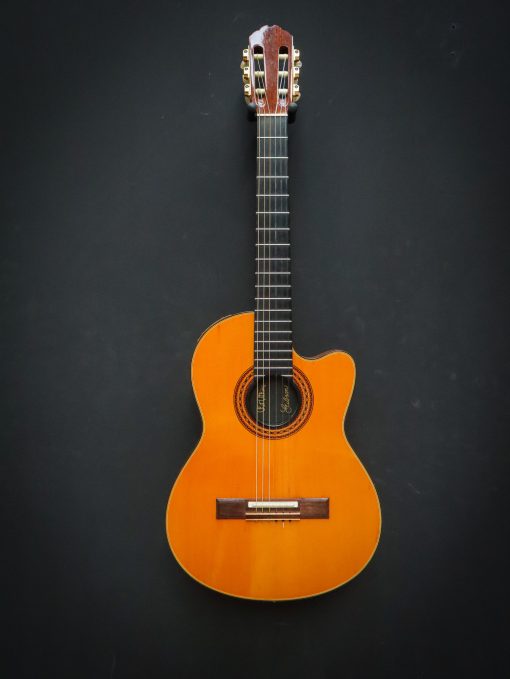 1982 Gibson Chet Atkins Classic Electric – Bild 2