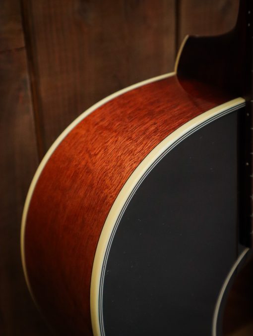 Eastman E6LGSS-TC – Bild 5