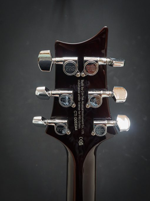 PRS SE DGT McCarty Goldtop – Bild 13