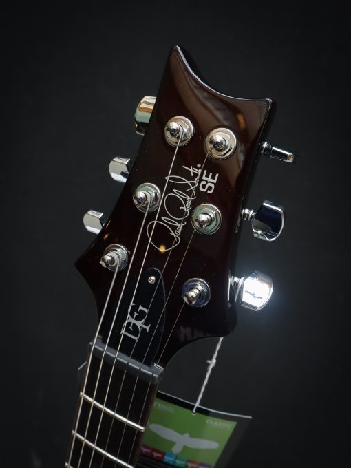 PRS SE DGT McCarty Goldtop – Bild 11