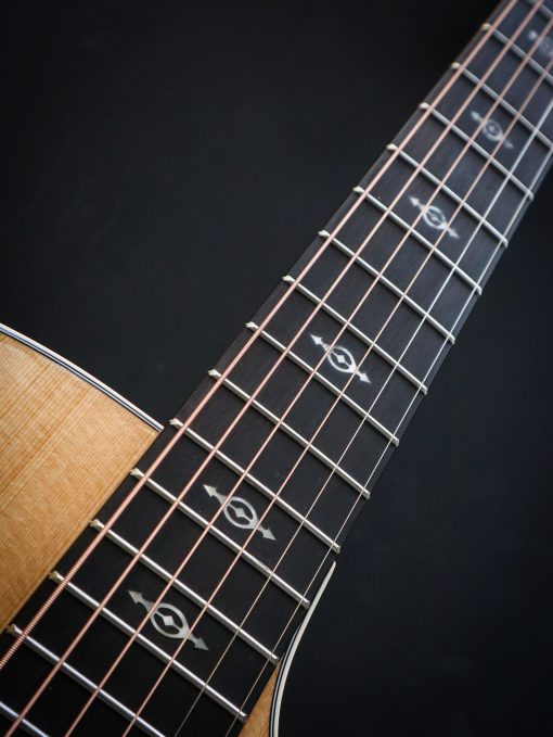 Taylor 214ce-K DLX – Bild 10