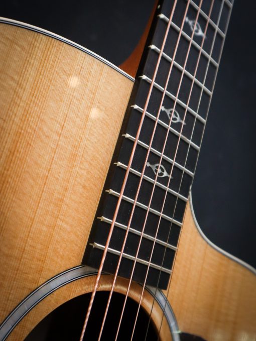 Taylor 214ce-K DLX – Bild 6