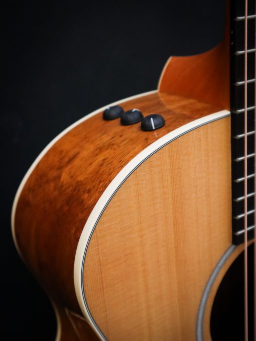 Taylor 214ce-K DLX – Bild 4