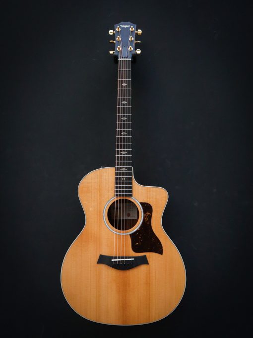 Taylor 214ce-K DLX – Bild 2