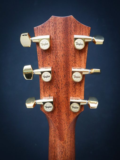 Taylor Legacy 514ce – Bild 9