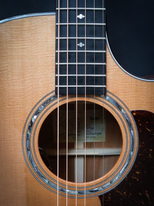 Taylor Legacy 514ce – Bild 6