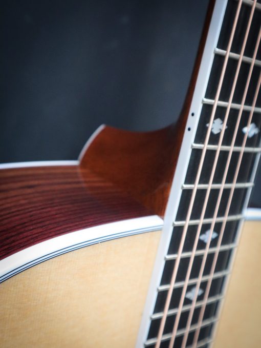 Taylor Legacy 810e – Bild 6