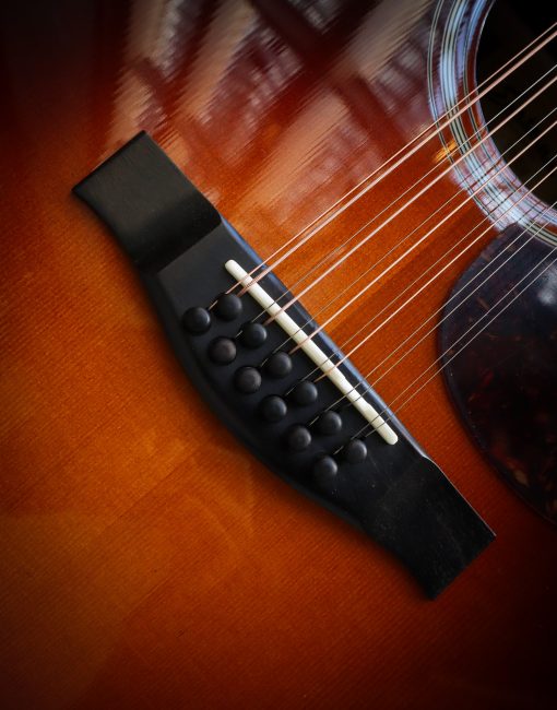 Eastman AC330E-12-SB – Bild 8