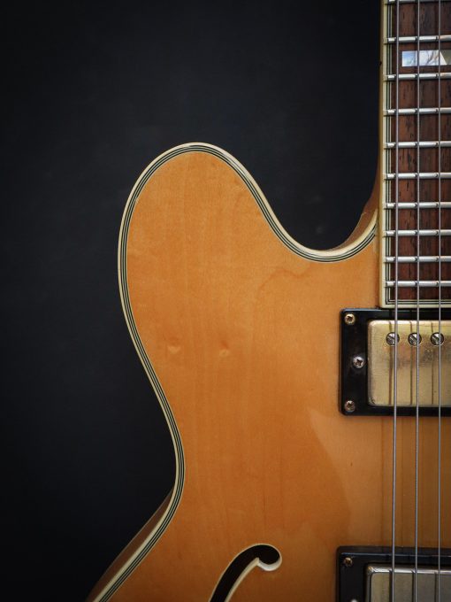 1989 Epiphone Sheraton II Natural (Used) – Bild 5