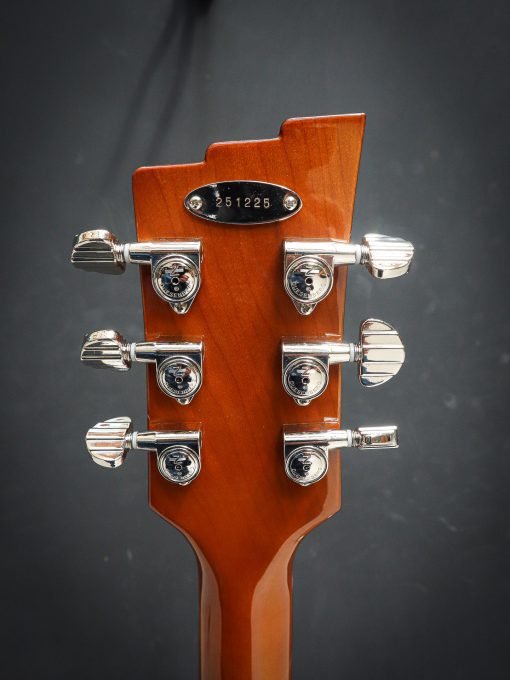 Duesenberg Starplayer CBR Catalina Green – Bild 14