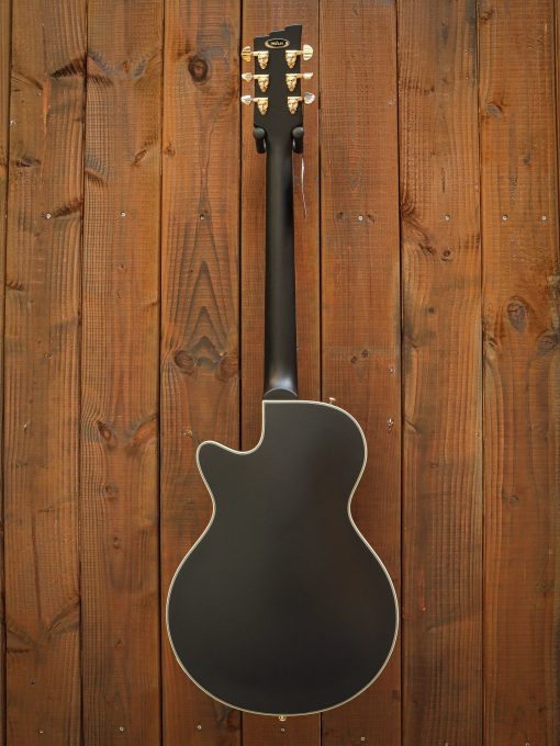 Duesenberg Starplayer TV Black Velvet – Bild 18