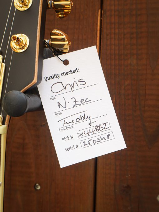 Duesenberg Starplayer TV Black Velvet – Bild 16