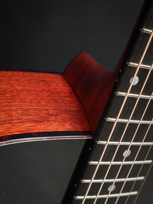 Eastman E2D-DLX – Bild 8