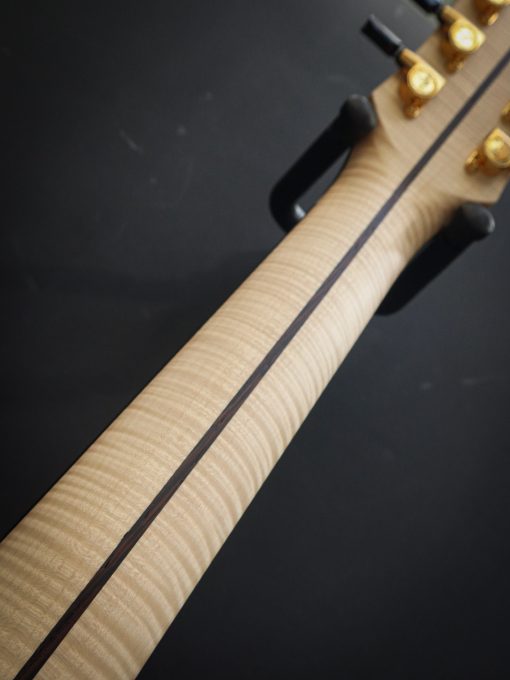 Dowina Master Serie Acero GAC – Bild 15