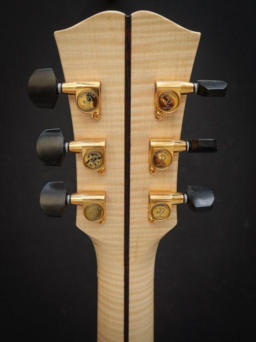 Dowina Master Serie Acero GAC – Bild 12