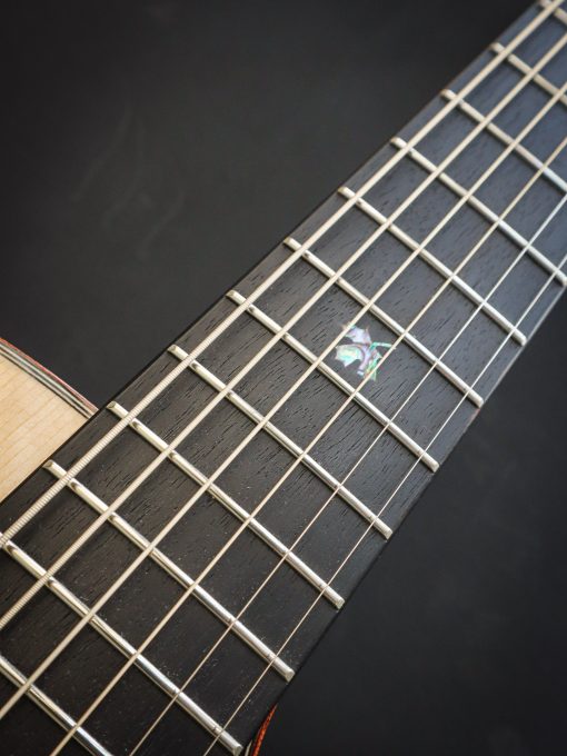 Dowina Master Serie Acero GAC – Bild 14