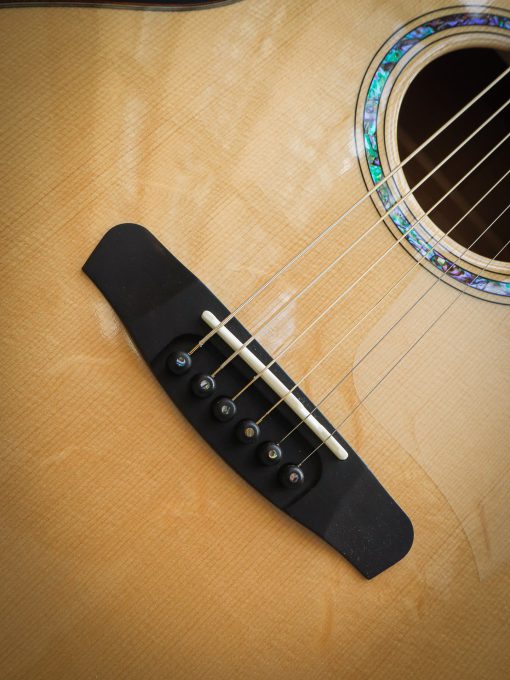 Dowina Master Serie Acero GAC – Bild 9