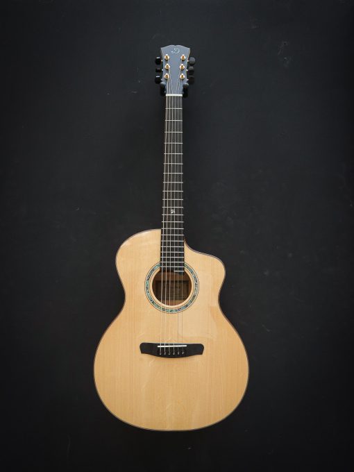 Dowina Master Serie Acero GAC – Bild 2