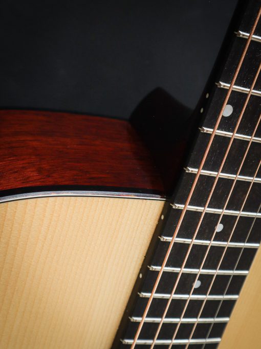 Eastman E10D (Pre-Owned) – Bild 8