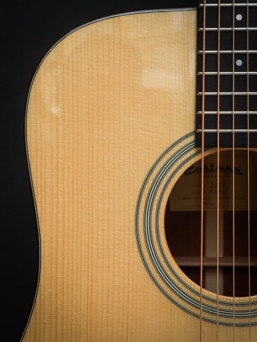 Eastman E10D (Pre-Owned) – Bild 7