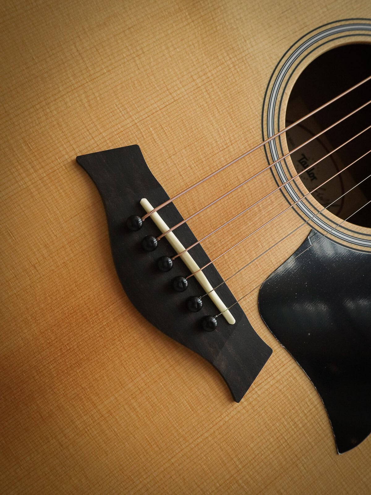 Taylor GS Mini Sapele – Bild 8