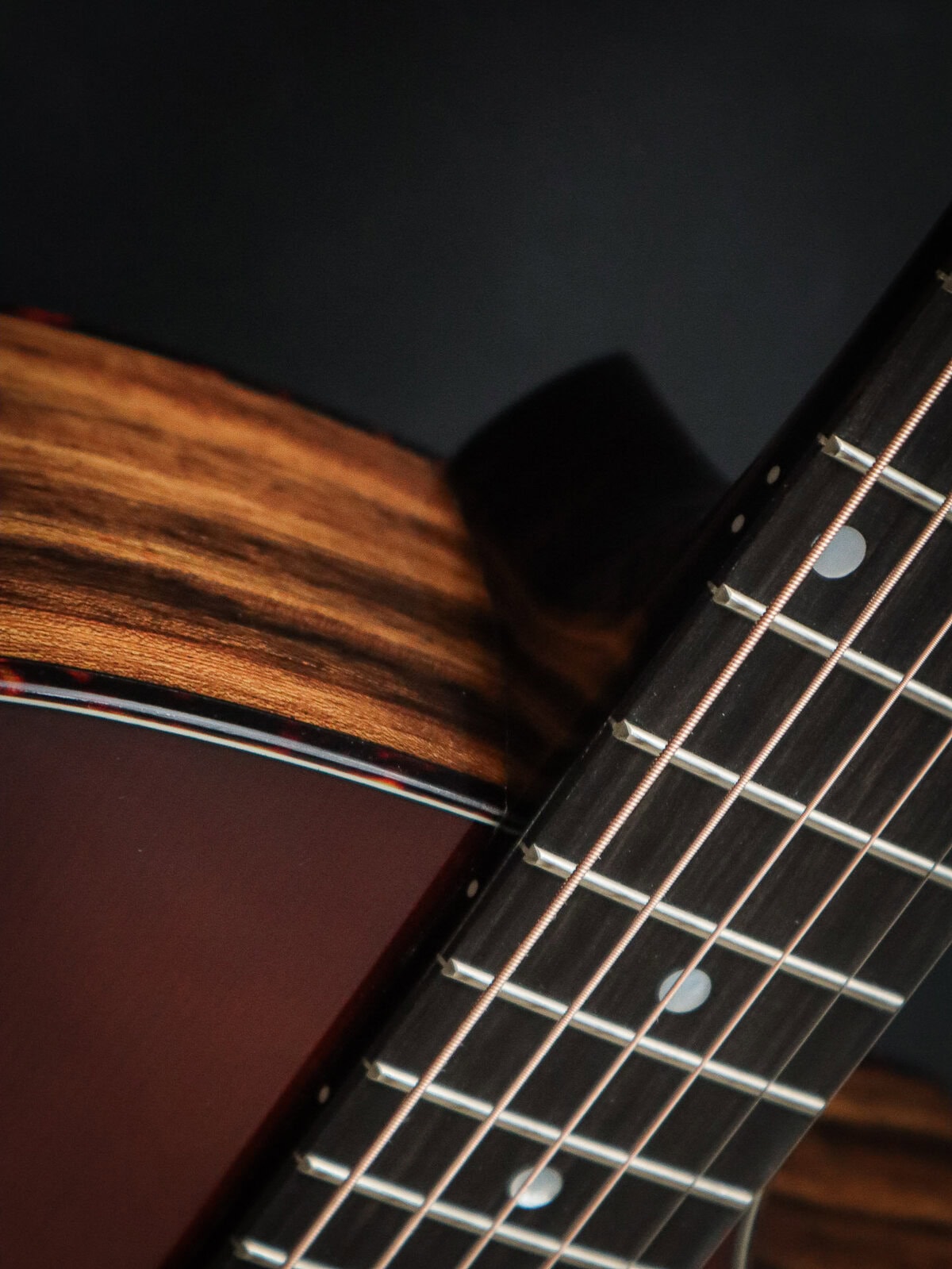 Eastman AC222CE-DLX GB – Bild 5