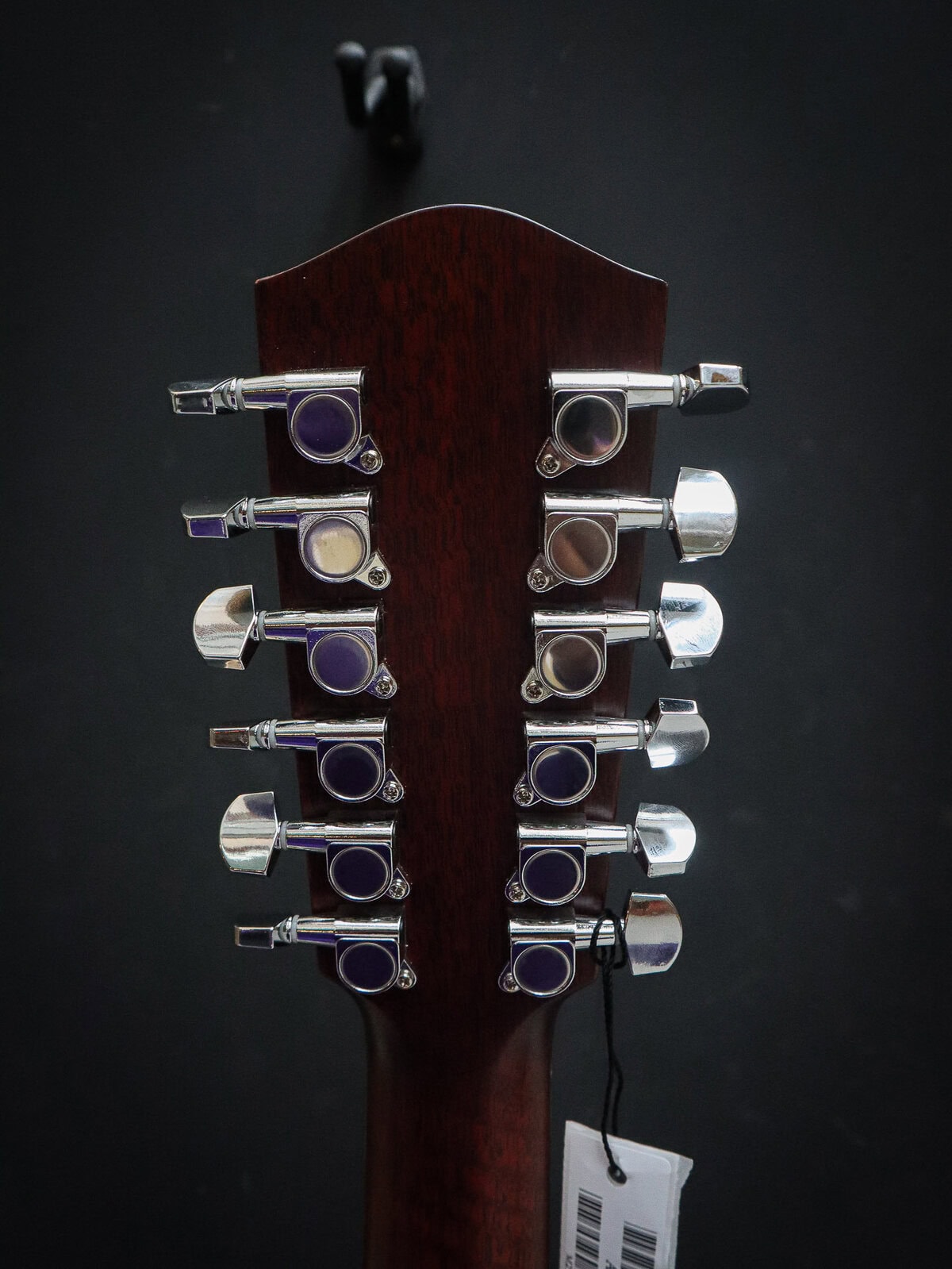 Eastman AC330CE-12 – Bild 11